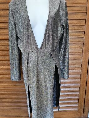 Source Unknown Iridescent Metallic Silver Plunge Long-Sleeve Dress
